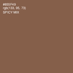 #855F49 - Spicy Mix Color Image